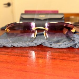 Cartier C Décor Buffalo Horn Sunglasses
